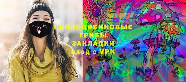 винт Алзамай