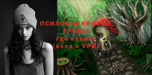 винт Алзамай