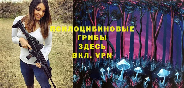 винт Алзамай
